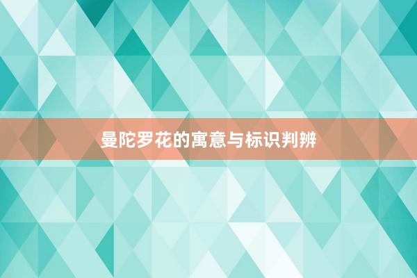 曼陀罗花的寓意与标识判辨